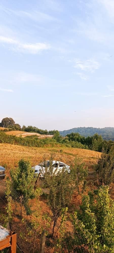 فروش زمین ۲۳۰ متری زرین آباد ساری ۳۶۰ میلیون|فروش زمین و ملک کلنگی|ساری, |دیوار