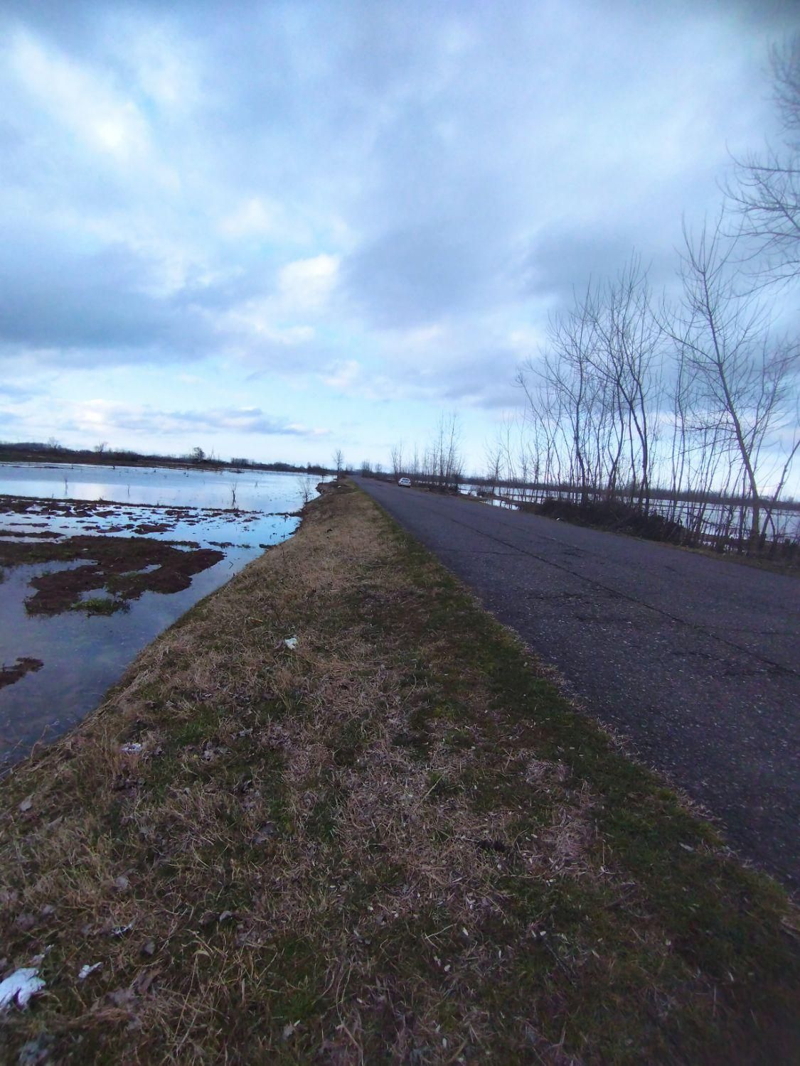 زمین یک هکتارشالیزارسنتی براصلی خیابان متری۳۵۰هزار|فروش دفتر صنعتی، کشاورزی، تجاری|لاهیجان, گلستان|دیوار