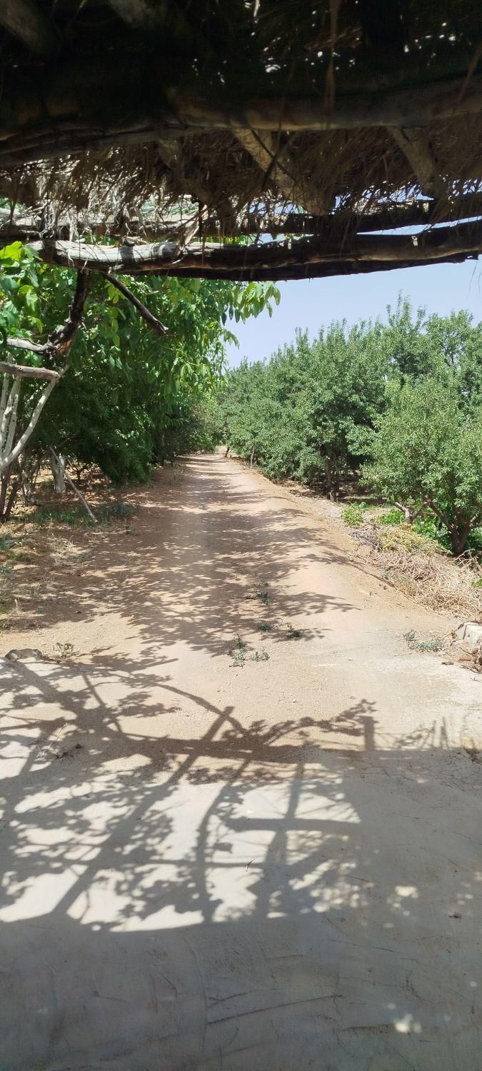 فروش زمین ۱۰۰۰ متری محدود پل زمانخان|فروش زمین و ملک کلنگی|شاهین‌شهر, طالقانی|دیوار