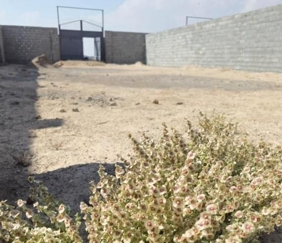 چهار دیواری علی اباد حبیب اباد|فروش زمین و ملک کلنگی|حبیب آباد, |دیوار