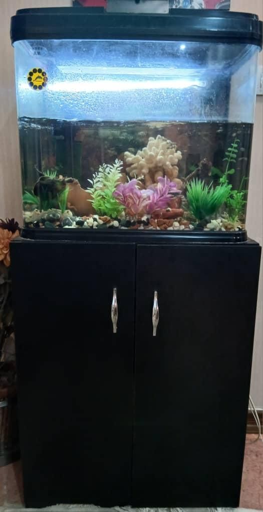 آکواریوم|ماهی|کرج, گوهردشت|دیوار