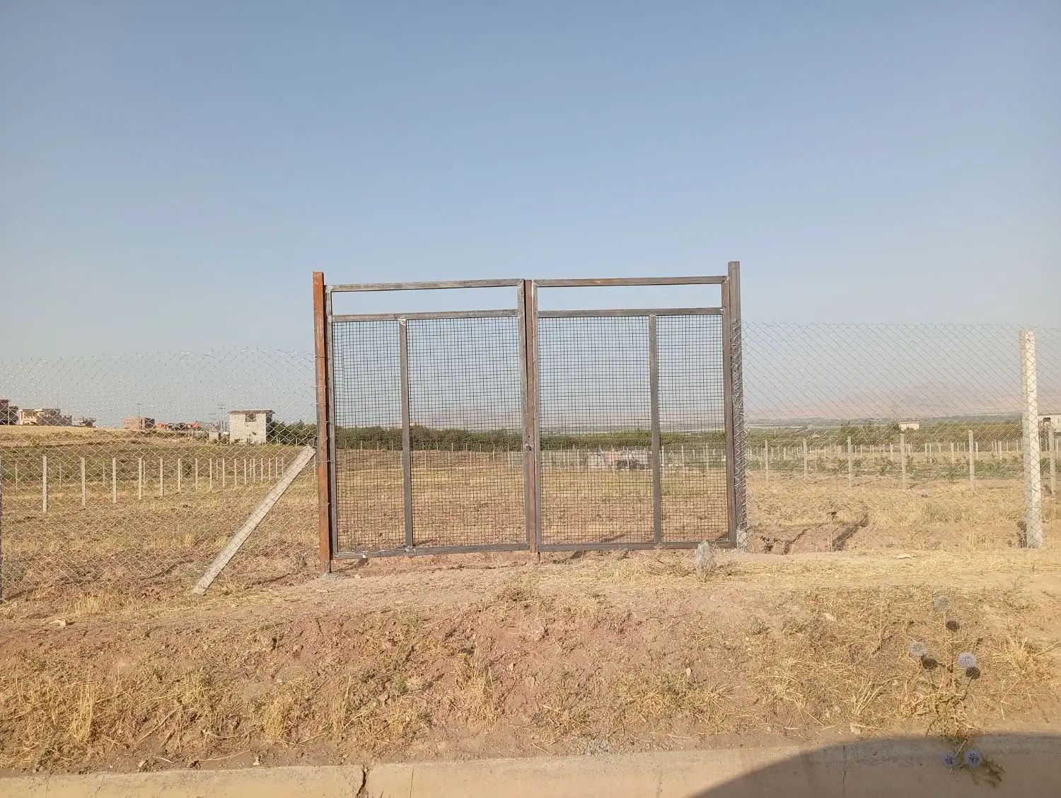 زمین کشاورزی حاصلخیز با موقعیت استثنایی درتوت آغاج|فروش زمین و ملک کلنگی|مهاباد (آذربایجان غربی), |دیوار