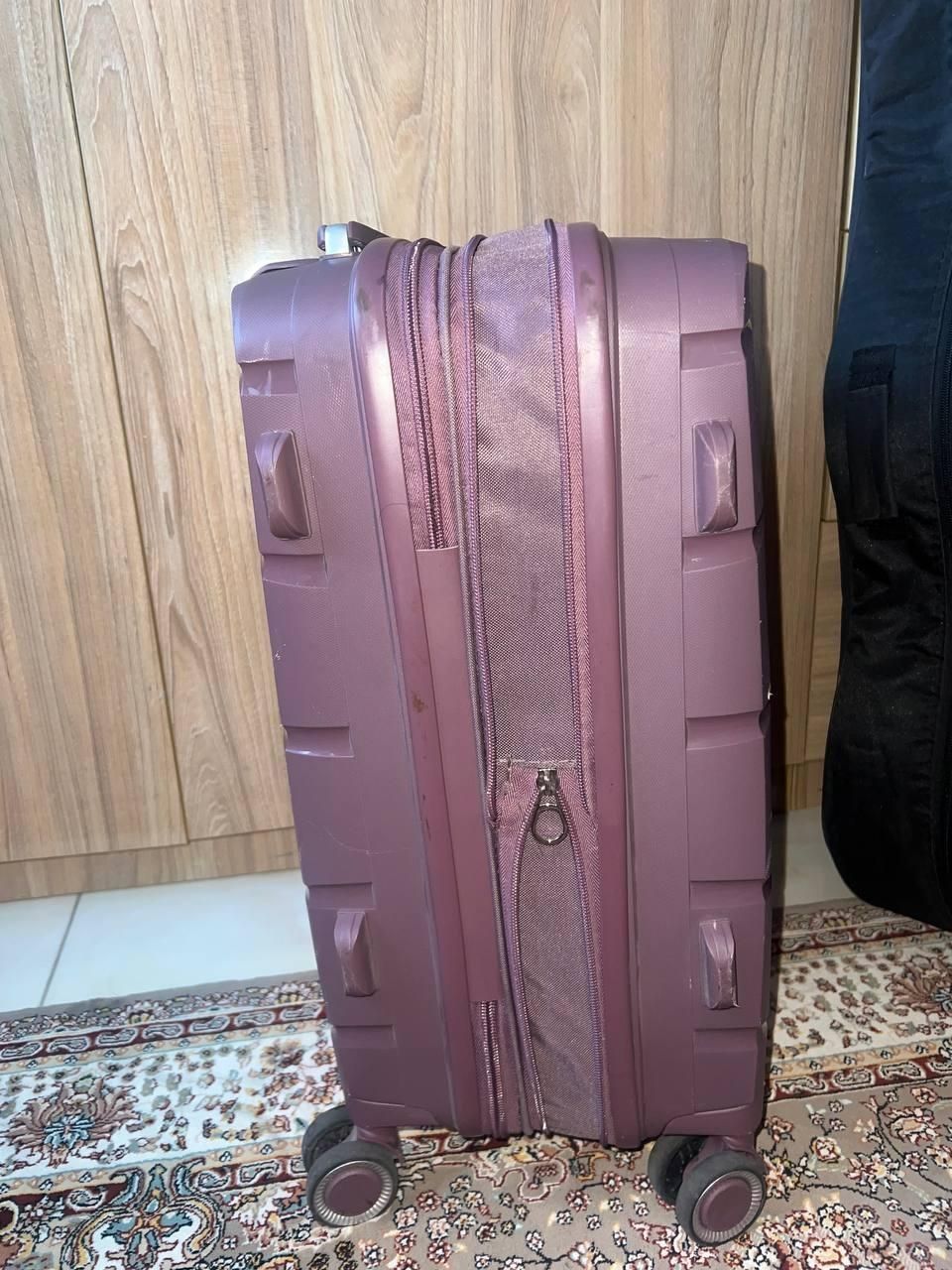 چمدان|کیف، کفش، کمربند|تهران, استاد معین|دیوار