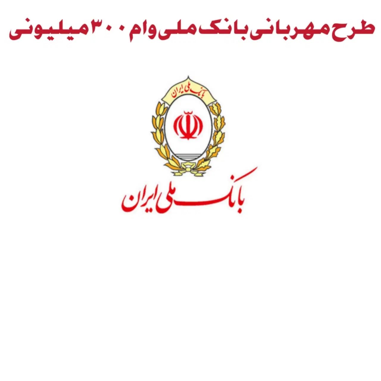 راهنمایی میکنم برای خرید و فروش وام مهربانی|فعالیت داوطلبانه|تهران, آرژانتین|دیوار