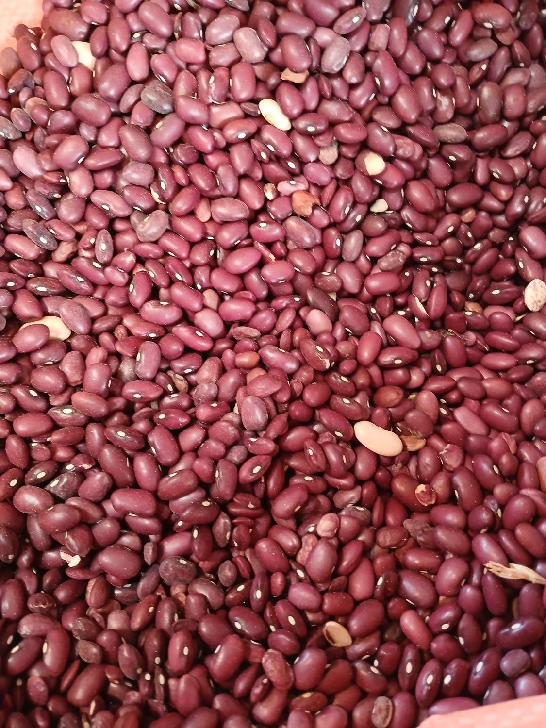حبوبات نخود عدس لوبیا|خوردنی و آشامیدنی|مشهد, تبادکان|دیوار