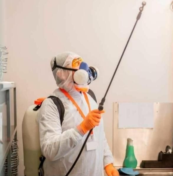 شرکت سمپاشی وموریانه زدایی *تخفیف ویژه* مجوز رسمی*|خدمات نظافت|دزفول, |دیوار