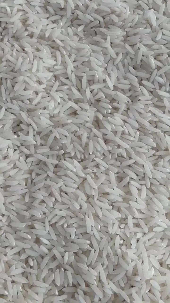 برنج طارم هاشمی از کشاورز مازندران|خوردنی و آشامیدنی|تهران, آذربایجان|دیوار
