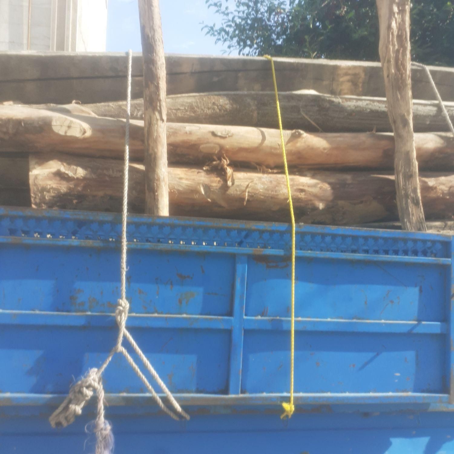 خریدار چوب|خدمات باغبانی و درختکاری|اردبیل, |دیوار