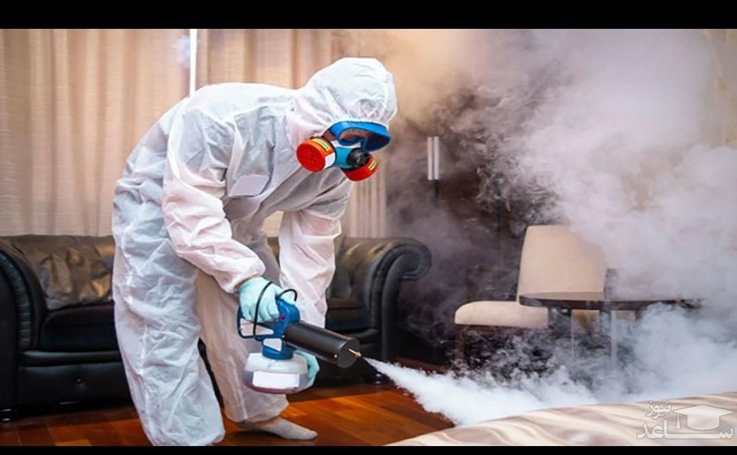 سمپاشی سم پاشی سوسک ساس در تمام نقاط مشهد|خدمات نظافت|مشهد, پورسینا|دیوار