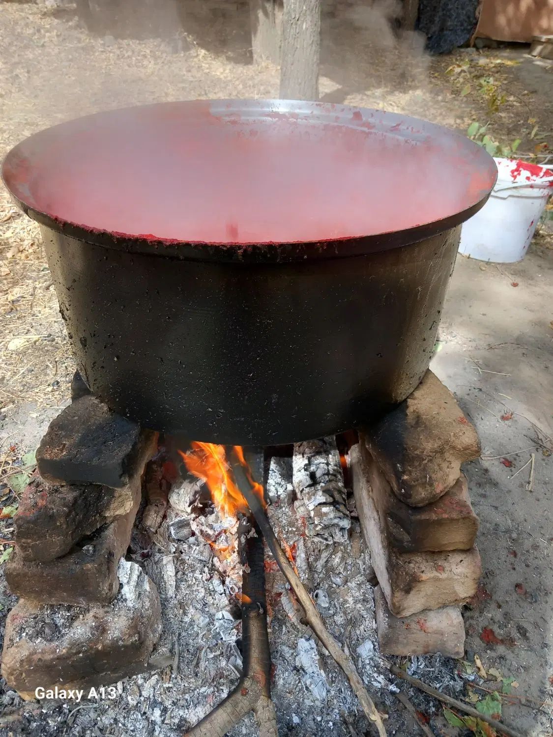 رب ارکانیک آتیشی|خوردنی و آشامیدنی|مشهد, دانشجو|دیوار