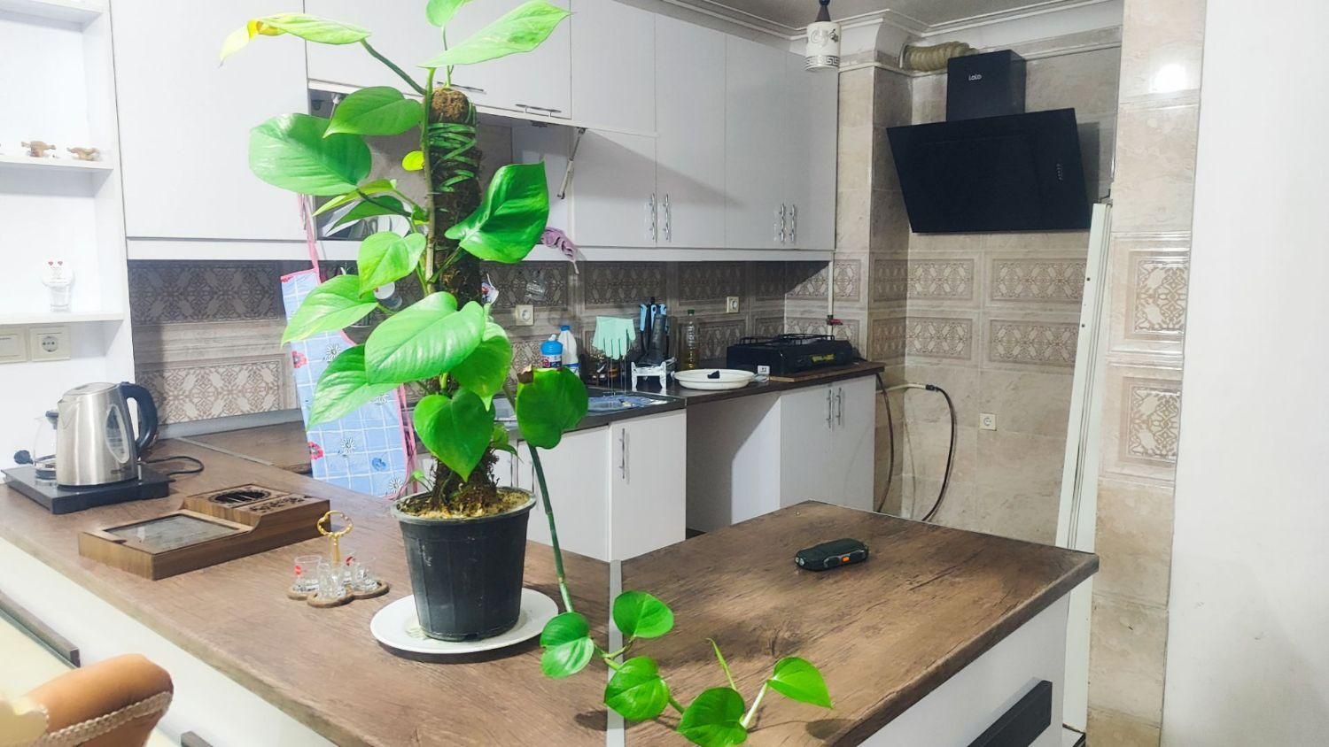 فروش یک واحد آپارتمان رفسنجان|فروش آپارتمان|رفسنجان, |دیوار