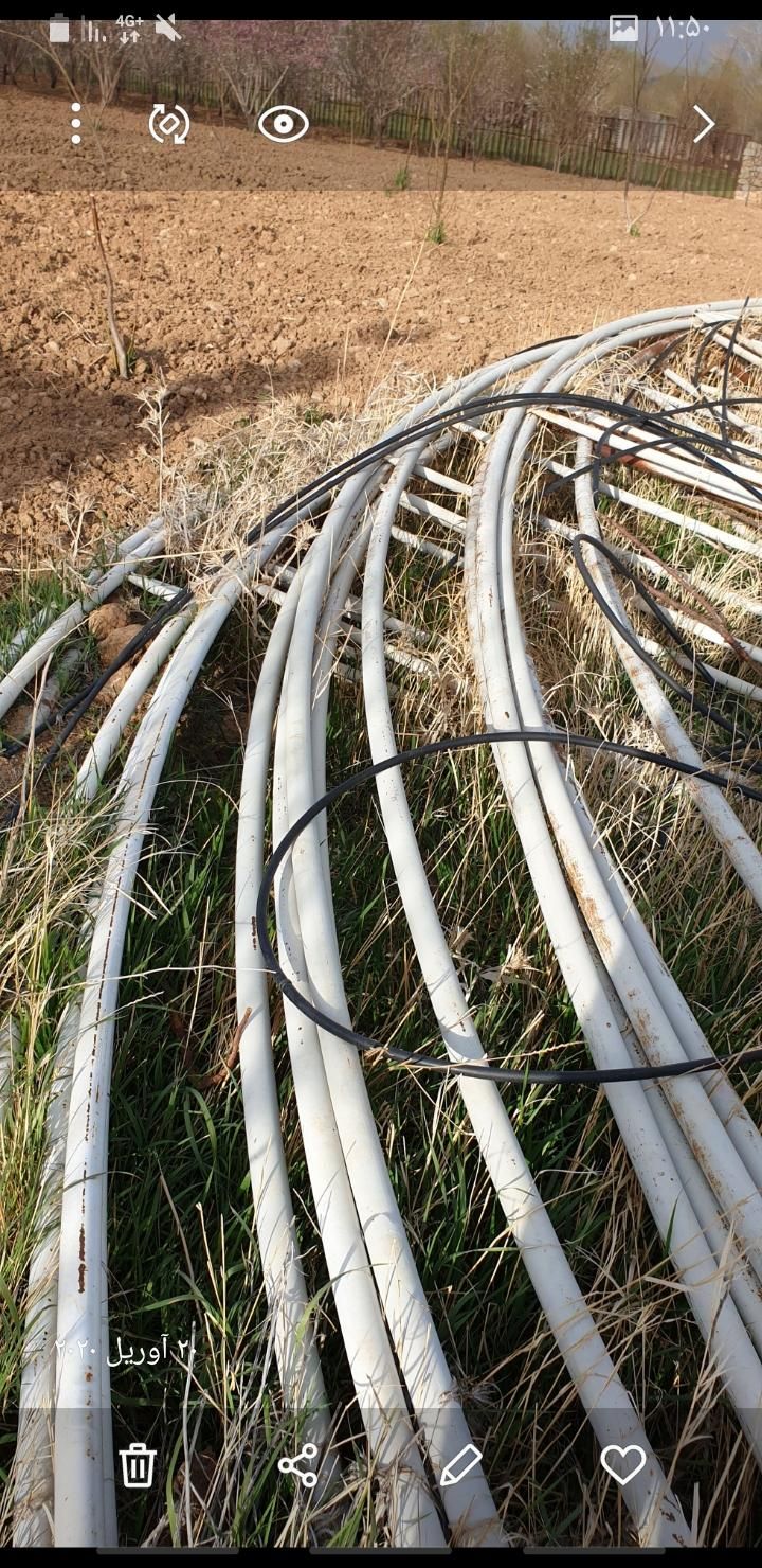 گلخانه|مصالح و تجهیزات ساختمان|فرخ‌شهر, |دیوار