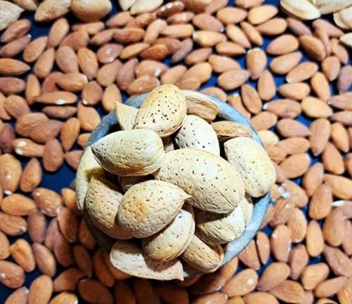 فروش بادام دیم شیرین|خوردنی و آشامیدنی|تهران, ورزشگاه آزادی|دیوار