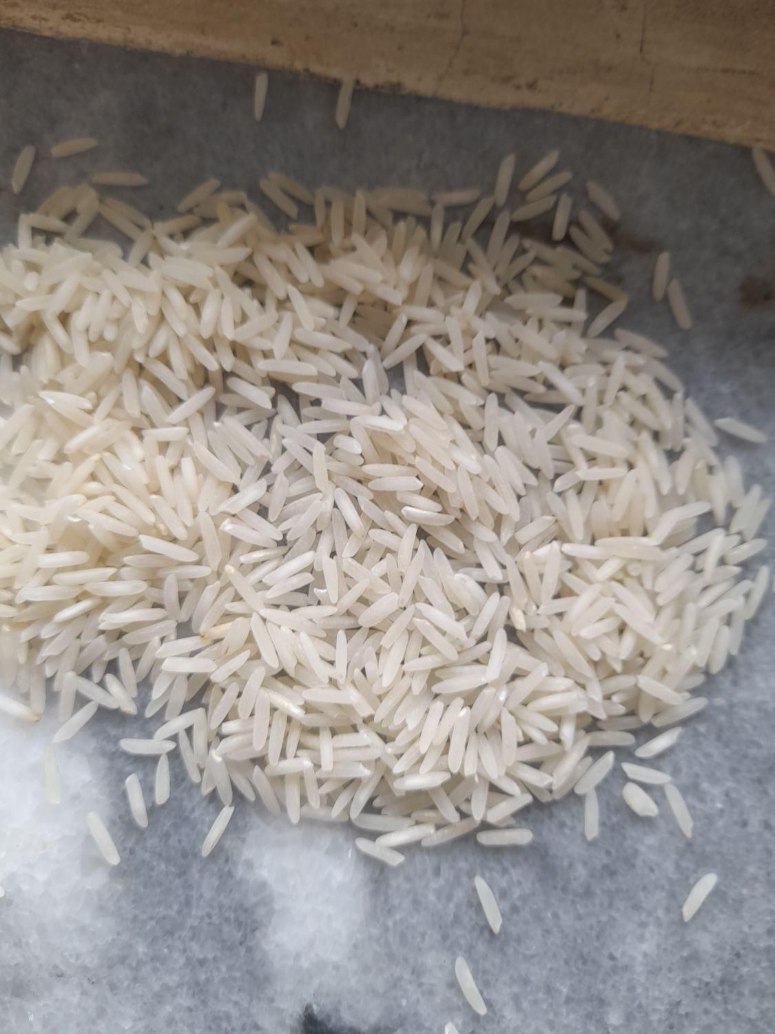 خرید برنج مستقیم از شالیزار گیلان ۱۲۵|خوردنی و آشامیدنی|کرج, کمال‌شهر|دیوار