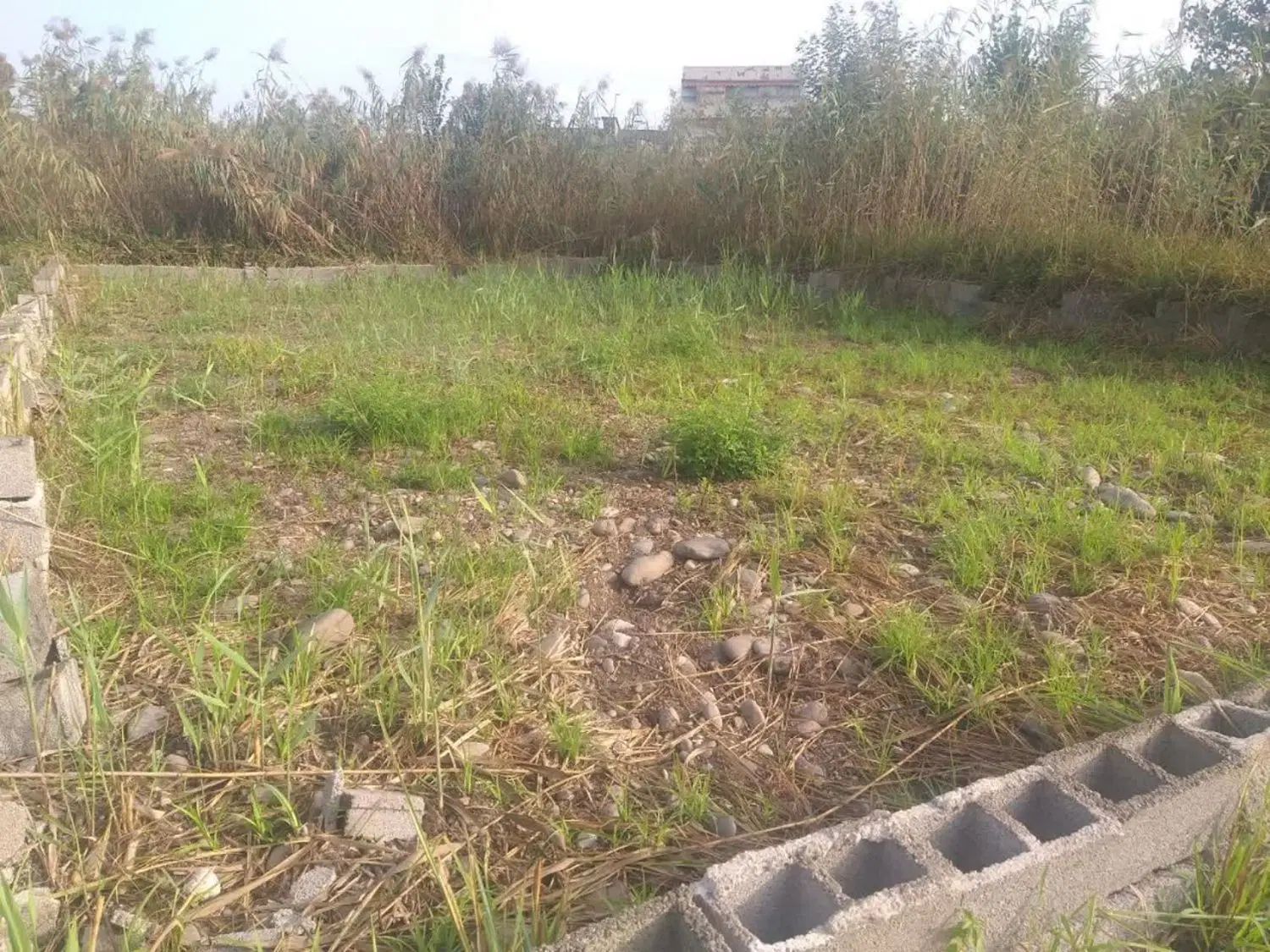زمین ۲۰۰ متری در رشت با سند تک برگ آماده ساخت|فروش زمین و ملک کلنگی|رشت, هلال احمر|دیوار