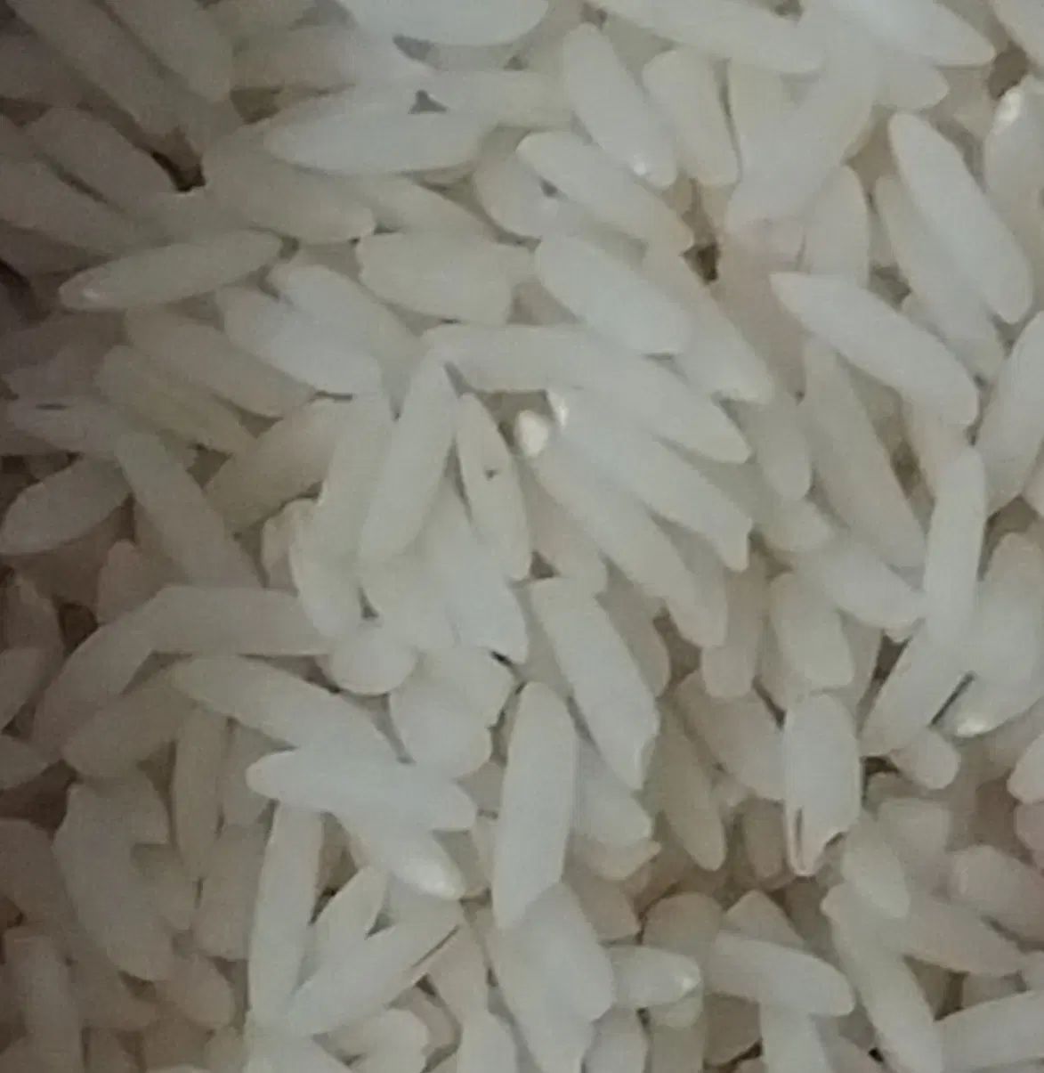 برنج هاشمی درجه یک اصل|خوردنی و آشامیدنی|کرج, ساسانی (قلمستان)|دیوار
