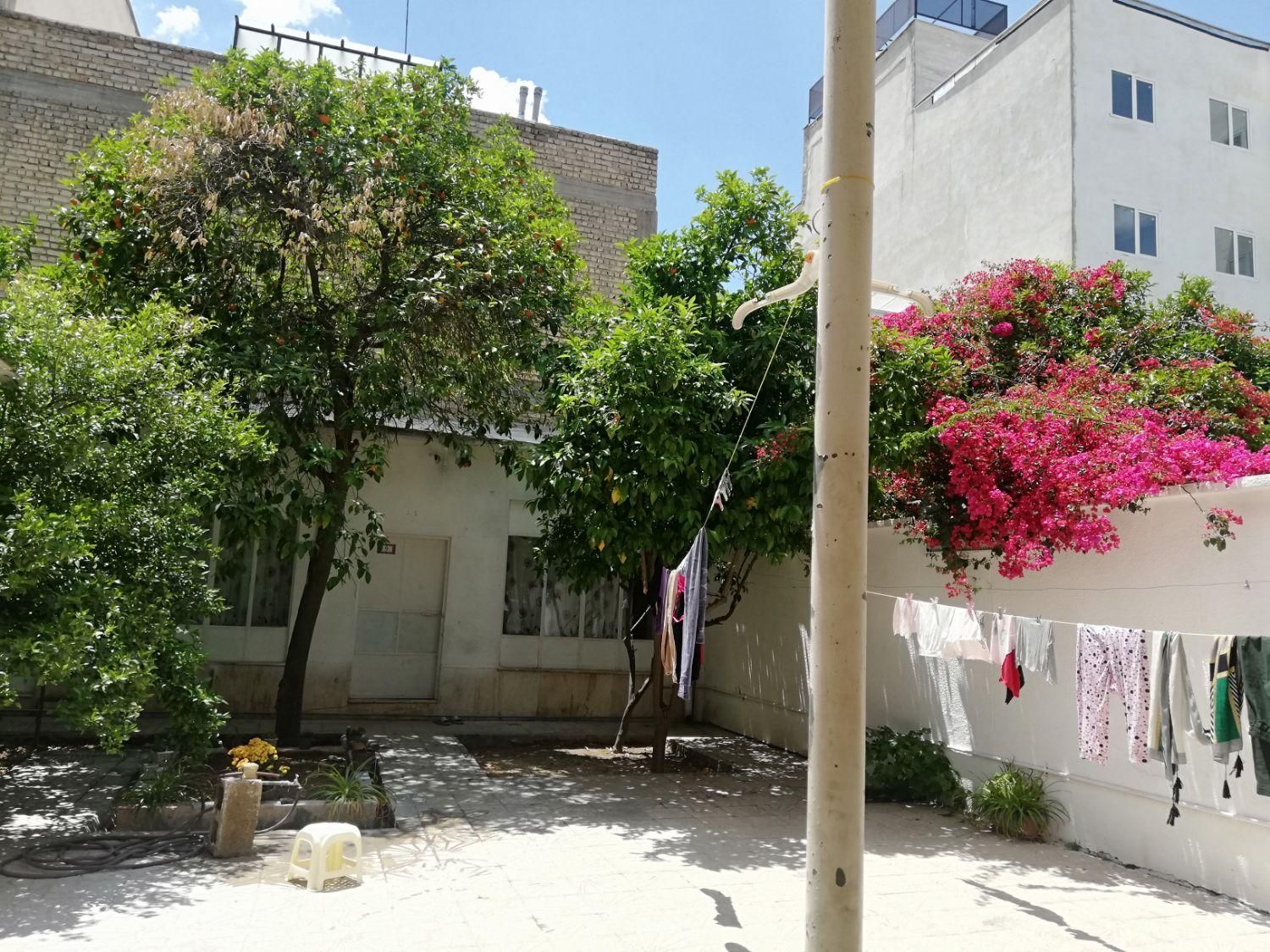 خوابگاه دخترانه سینما سعدی|اجارهٔ کوتاهمدت آپارتمان و سوئیت|شیراز, سینما سعدی|دیوار