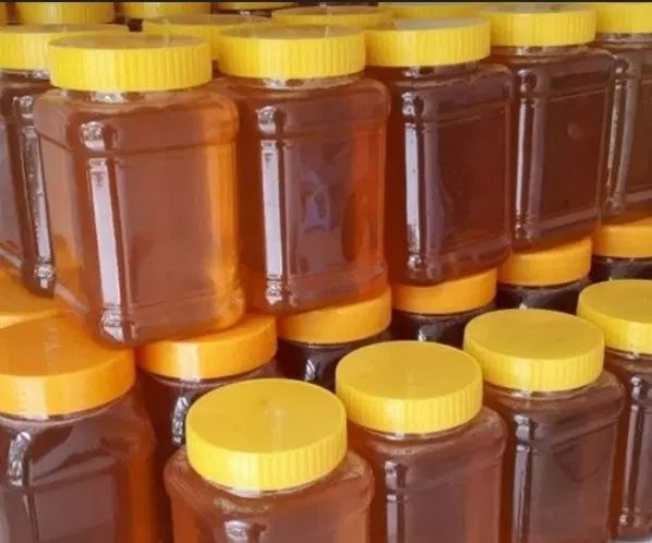 عسل طبیعی با ساکاروز بسیار پایین. دیابتی و درمانی|خوردنی و آشامیدنی|مشهد, عامل|دیوار