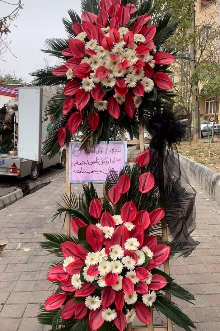 تاج گل پایه گل سبد گل دسته گل باکس گل ترحیم تبریک|گل و گیاه طبیعی|مشهد, امیر|دیوار