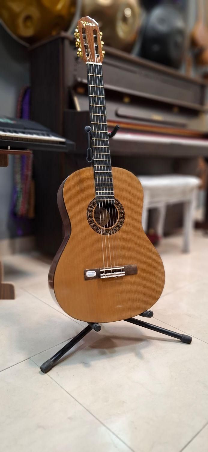 گیتار کلاسیک هافنر ( آموزشگاه موسیقی سینا )|گیتار، بیس، امپلیفایر|پردیس, فاز ۲|دیوار