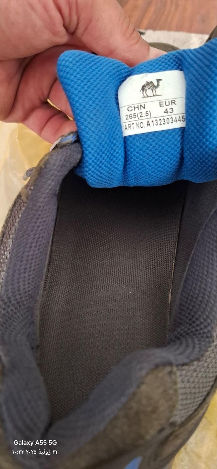 کتونی کوهنوردی کمل|کیف، کفش، کمربند|لاهیجان, کوی آزادگان|دیوار