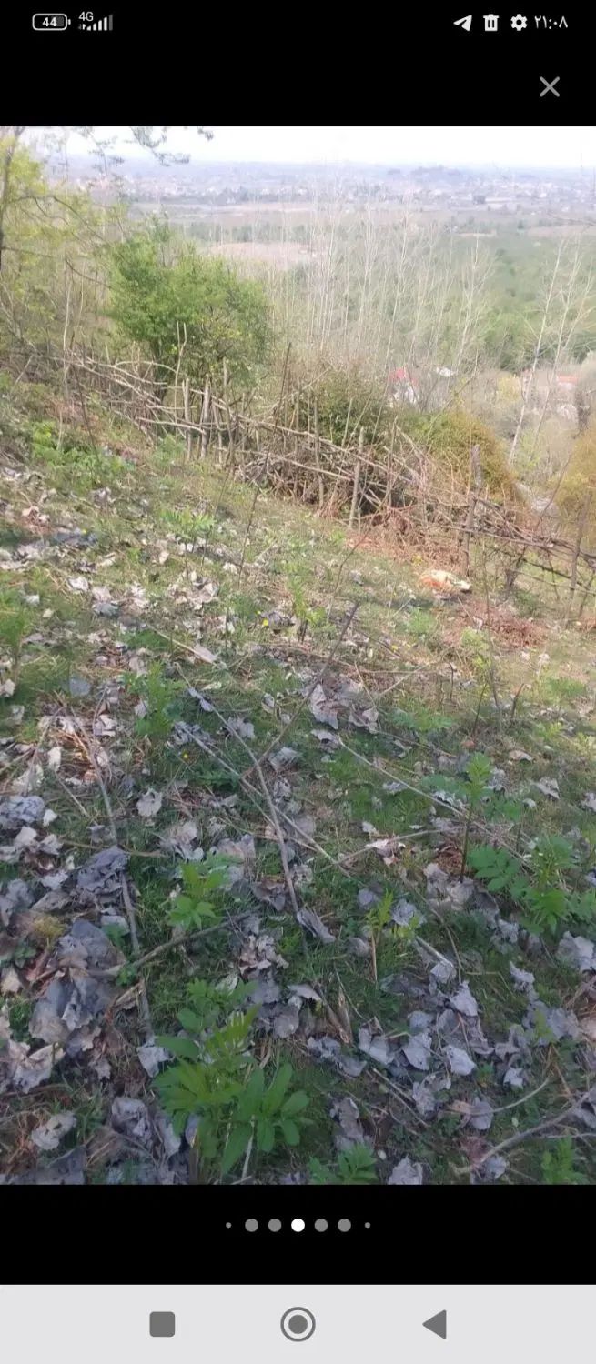 فروش زمین ۴۰۰متری فقط ۳۸۰ملیون|فروش زمین و ملک کلنگی|رشت, احمد گوراب|دیوار