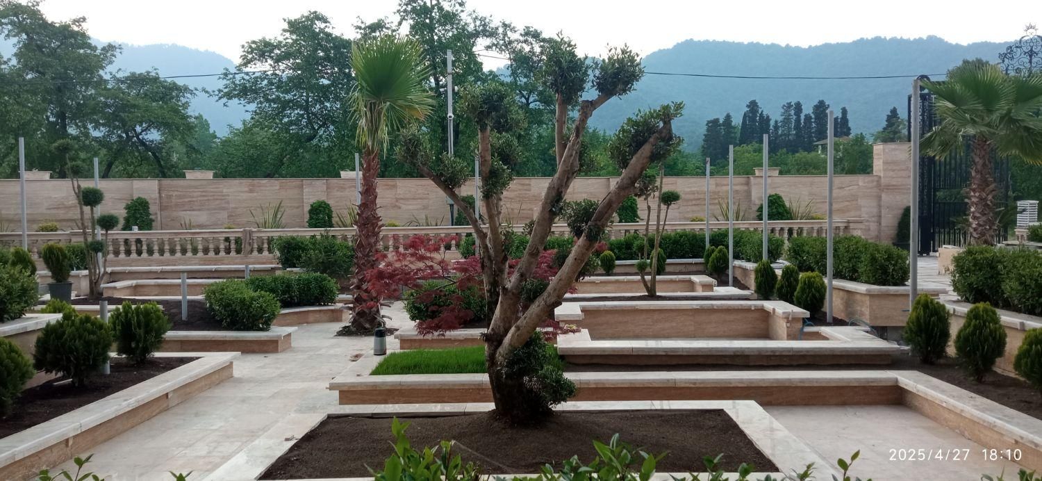 اجرای فضای سبز،روف گاردن،ودیوار سبز|خدمات باغبانی و درختکاری|ماسال, |دیوار