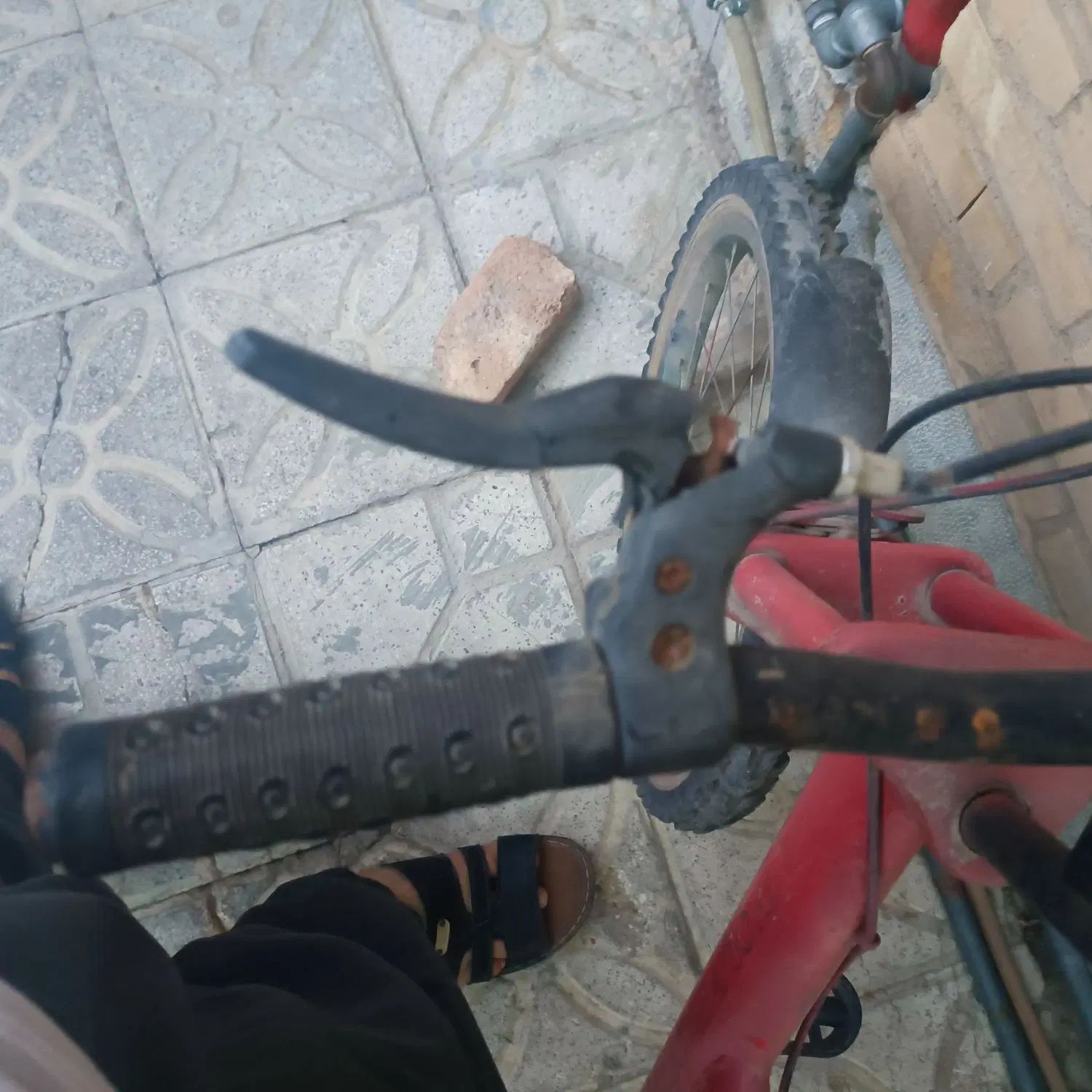 دوچرخه20|دوچرخه، اسکیت، اسکوتر|شیراز, تندگویان|دیوار