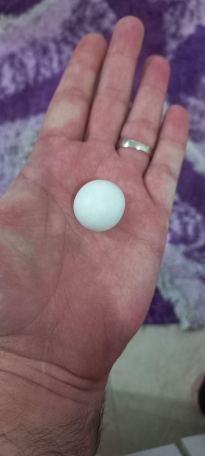 سنگ الماس اسیاب اصل|جواهرات|اصفهان, وحید|دیوار