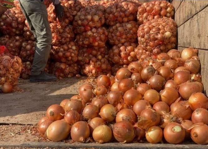 تره بار پخش صیفی جات و سبزیجات و میوه ..|خوردنی و آشامیدنی|تهران, شهرک شریعتی|دیوار