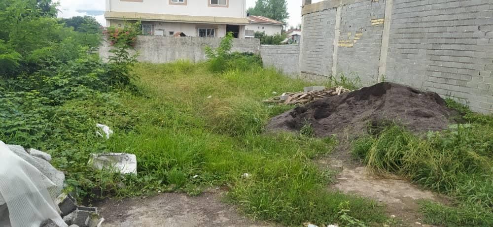 فروش زمین 221 متری مسکونی باسند تکبرگ کیاموسوی|فروش زمین و ملک کلنگی|لاهیجان, پردسر|دیوار