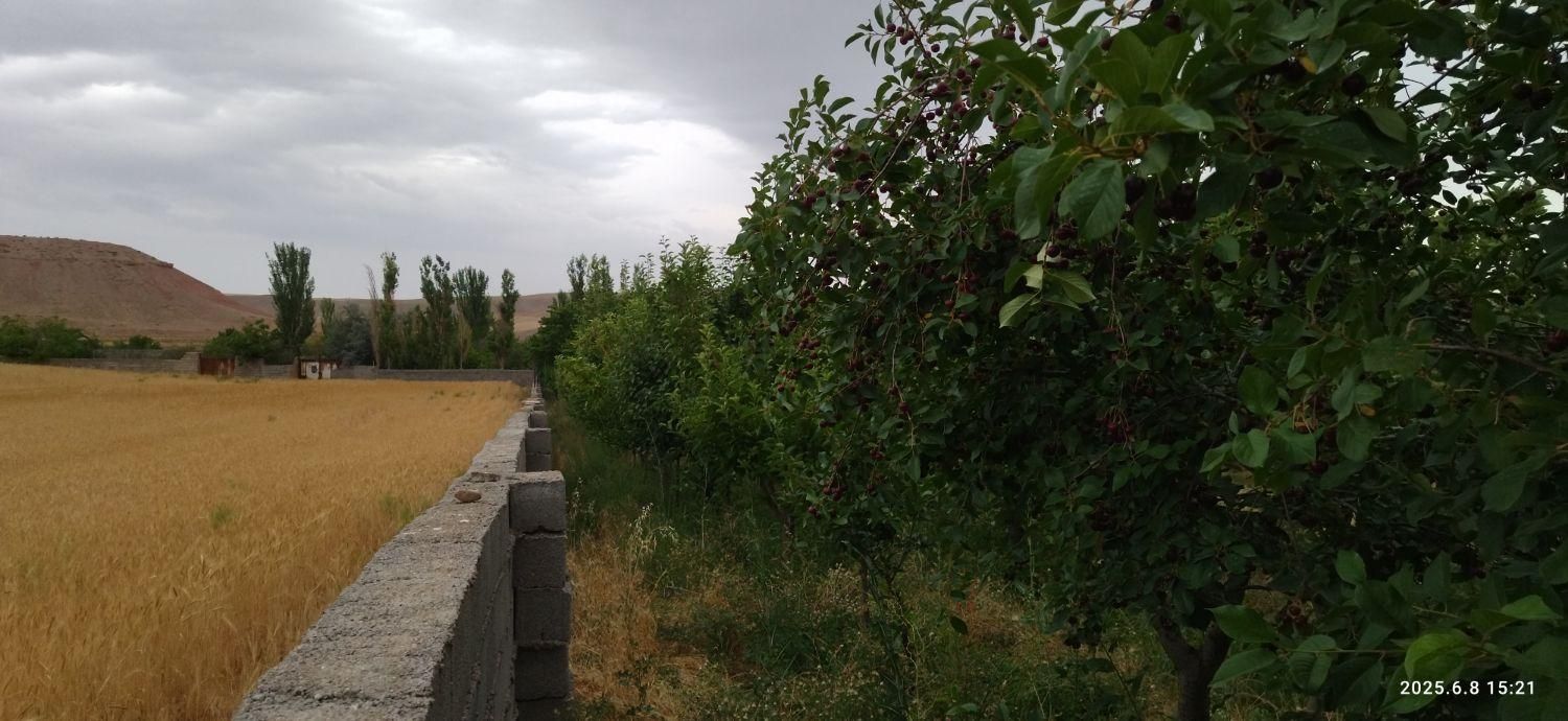 باغ ۴۰۰۰ متری در روستای ده سرخ سد کارده|فروش زمین و ملک کلنگی|مشهد, کلاهدوز|دیوار