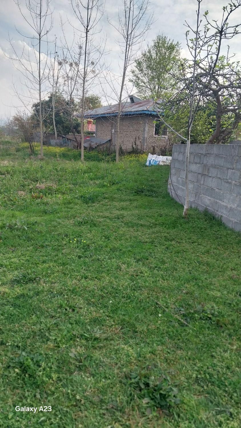 فروش زمین ۵۰۰ متری کاملن مسکونی|فروش زمین و ملک کلنگی|شاندرمن, |دیوار