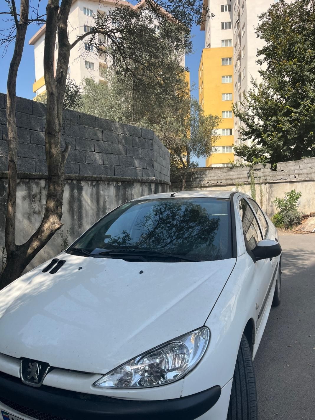 پژو 206 SD V8، مدل ۱۳۹۹|خودرو سواری و وانت|نوشهر, |دیوار