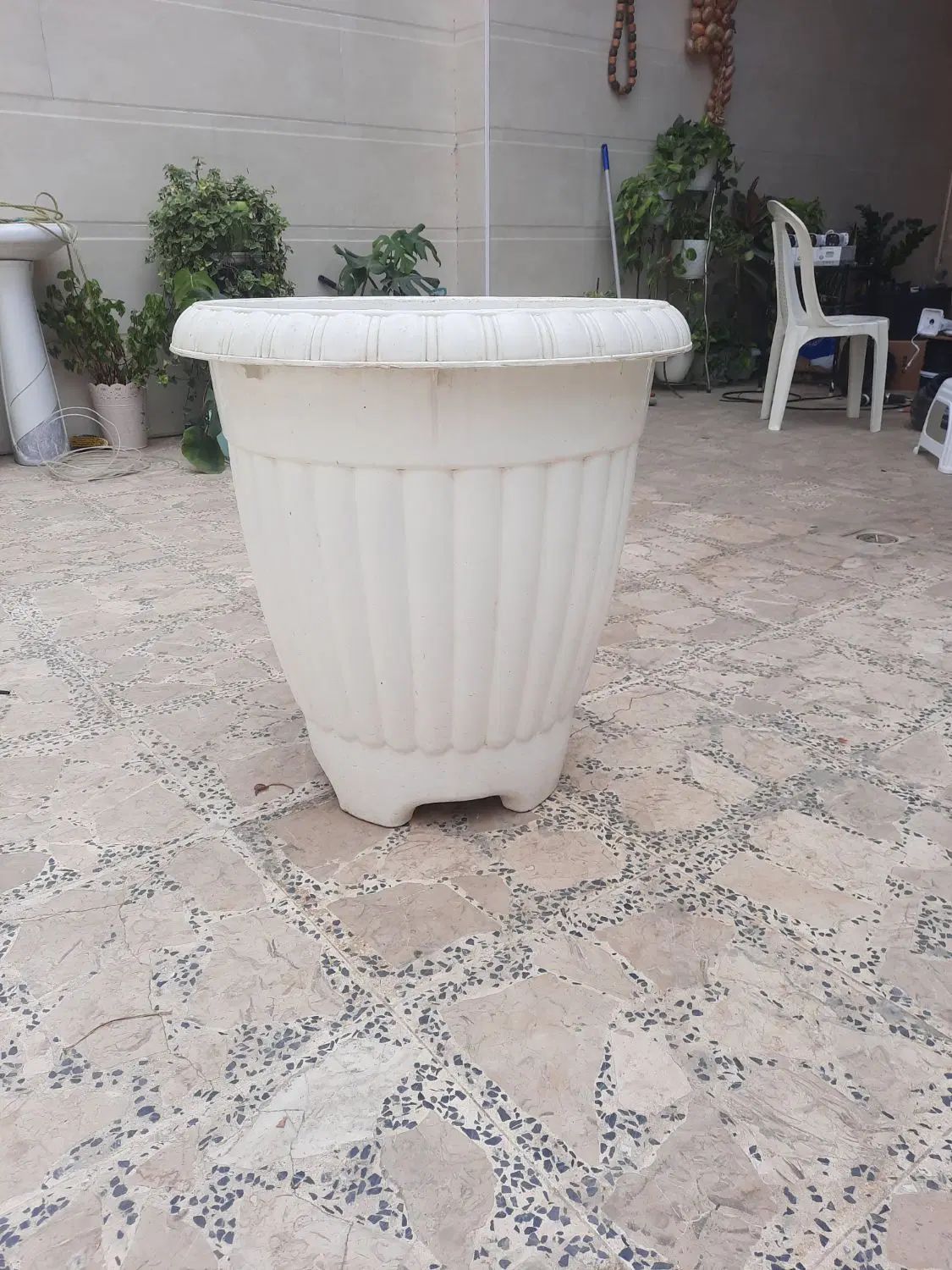 گلدان سایز بزرگ|گل و گیاه طبیعی|رشت, کوی حسینی|دیوار