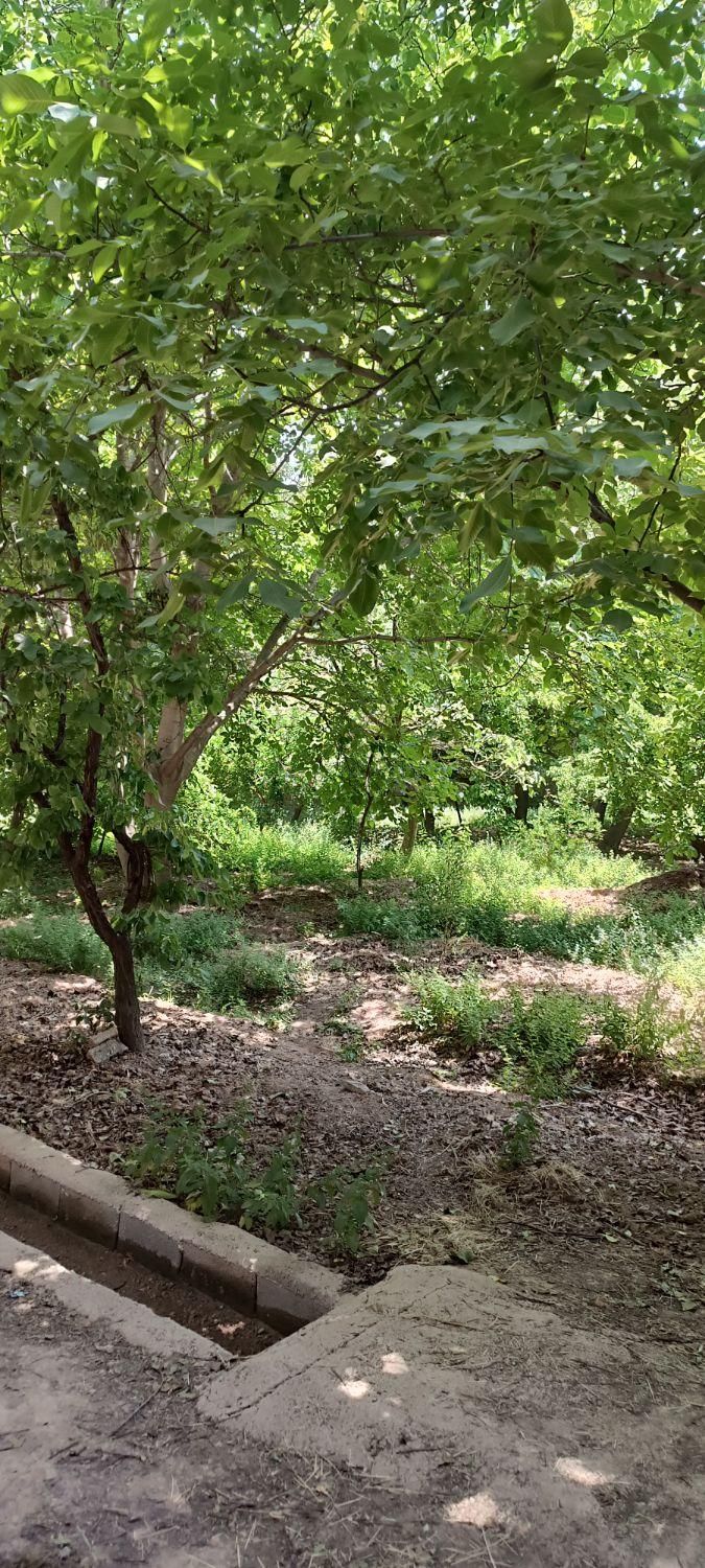 باغ شهری/ ۶۰۰ متری/فاروق/پرداخت شرایطی|فروش زمین و ملک کلنگی|سیدان, |دیوار