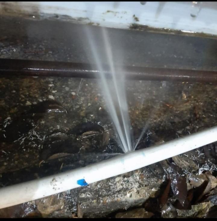 لوله کش نشتیبا دستگاه امیریه انقلاب شیخ هادی رفع|خدمات پیشه و مهارت|تهران, منیریه|دیوار