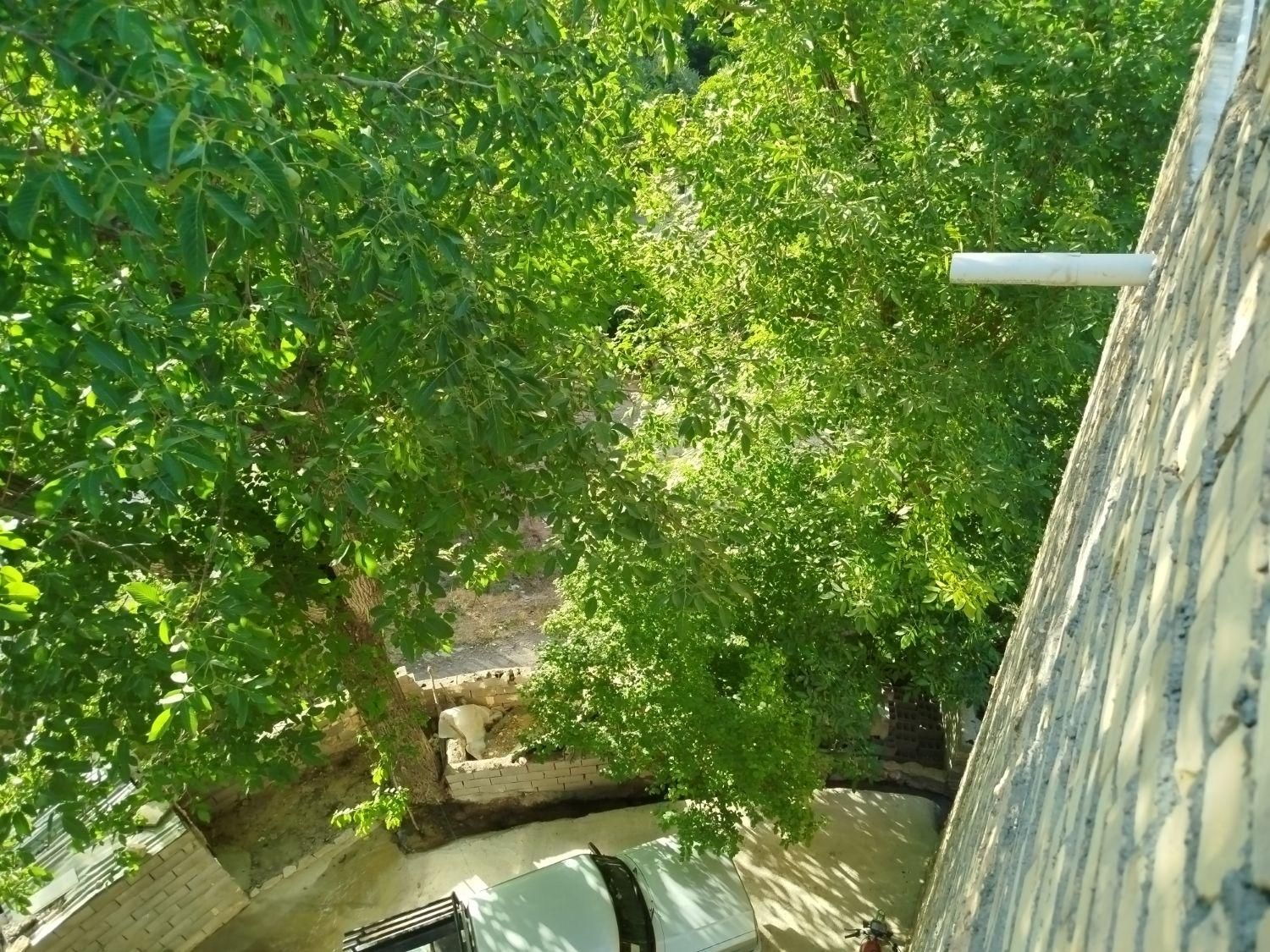 اجاره روزانه/هفتگی/ماهانه آپارتمان ۵۰ متری|اجارهٔ کوتاه‌مدت آپارتمان و سوئیت|چناران, |دیوار