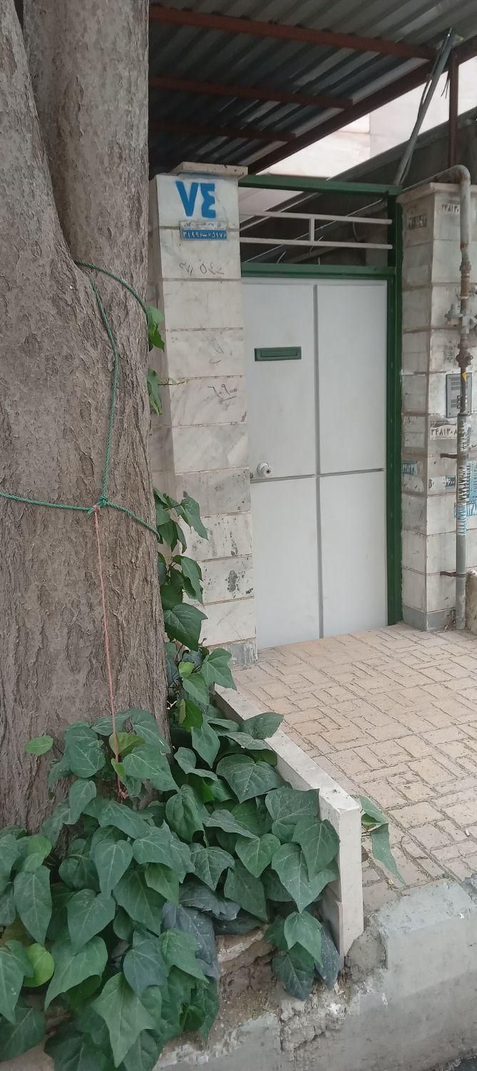 اجاره آپارتمان ۸۵ متری ۱ خوابه طبقه ۱ در کمال‌شهر|اجارهٔ آپارتمان|کرج, کمال‌شهر|دیوار