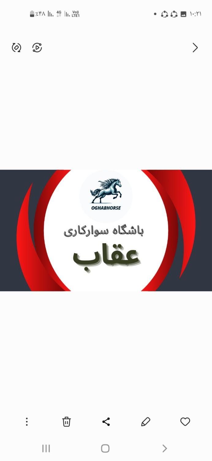 اموزش سوارکاری ،پانسیون،خرید و فروش اسب|اسب و تجهیزات اسب‌سواری|شیراز, دشت چنار|دیوار