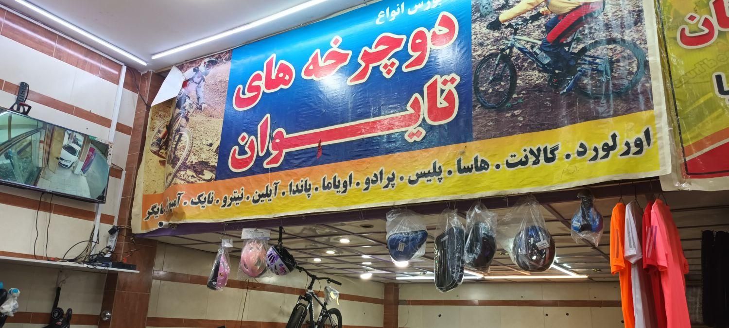 پخش دوچرخه سید|دوچرخه، اسکیت، اسکوتر|شوشتر, |دیوار