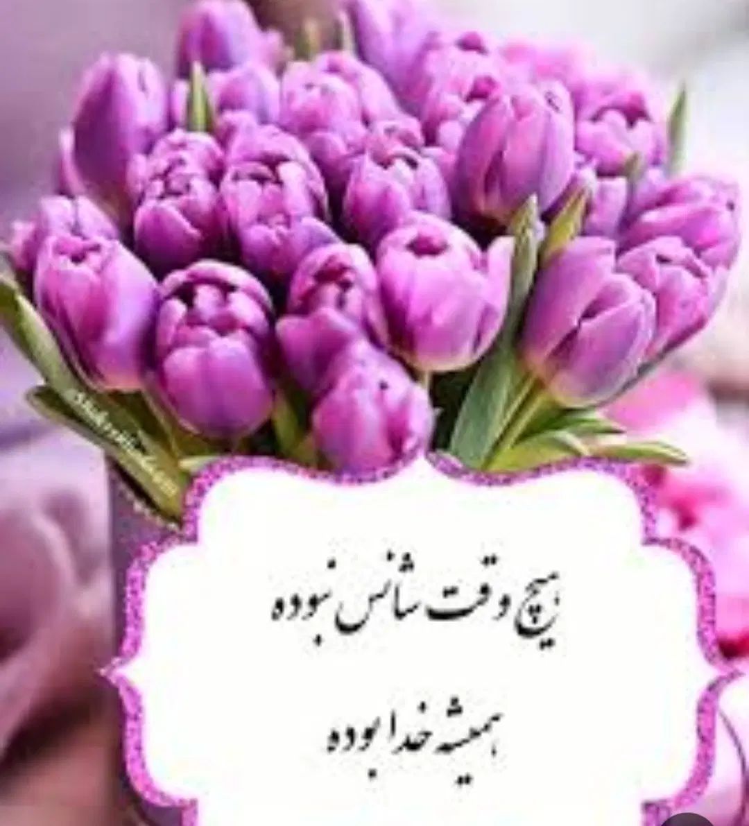 همکار خانم واقا جهت همکاری درفروشگاه مانتو|استخدام خدمات فروشگاه و رستوران|مشهد, ایثار|دیوار