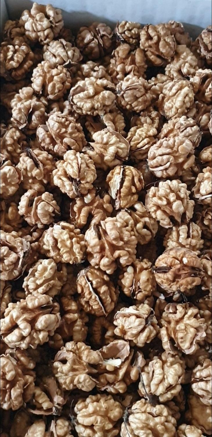 قابل توجه رستورانها،قنادی ها،فعالین کلوچه و خشکار|خوردنی و آشامیدنی|رشت, شهرک صنعتی|دیوار