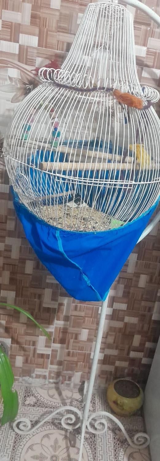 قفس پایه دار|لوازم جانبی حیوانات|رفسنجان, |دیوار