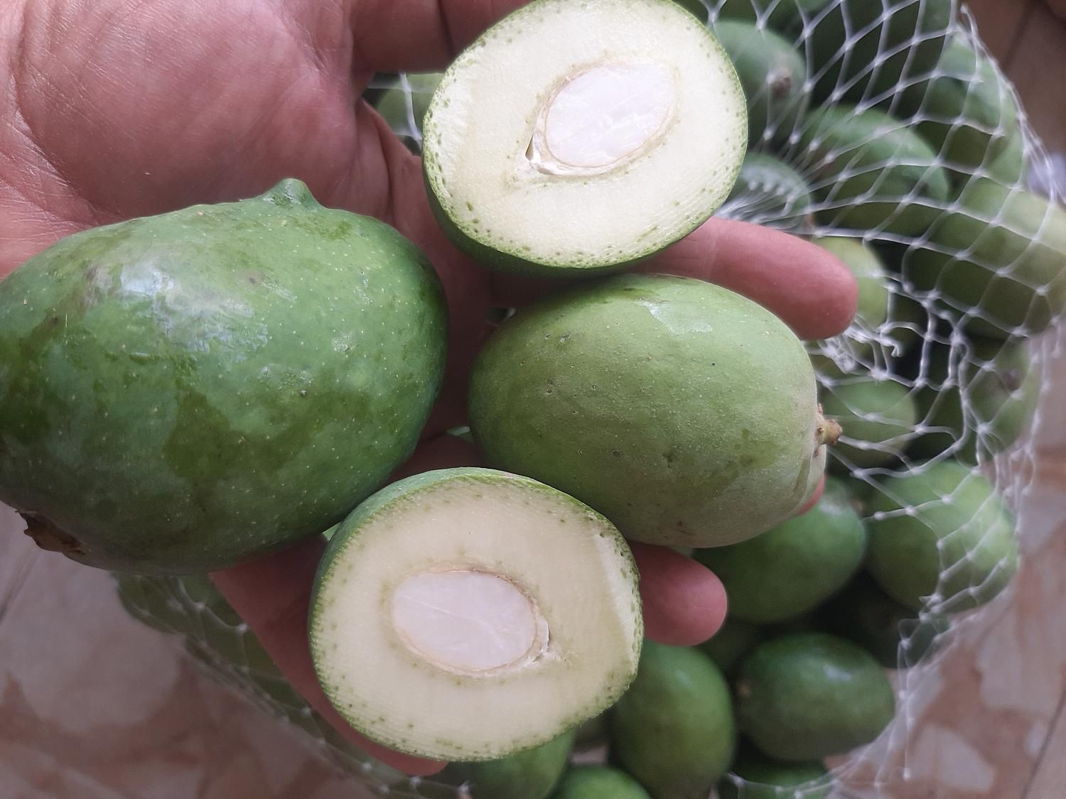 انبه بدون هسته،سپستان،میناب ورودان،ترشی انبه دریزد|خوردنی و آشامیدنی|یزد, |دیوار