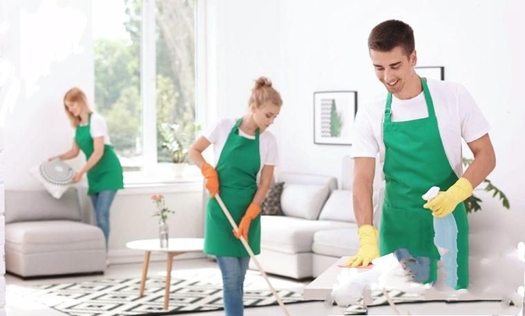 شرکت خدمات نظافتی نگین سبز|خدمات نظافت|تنکابن, |دیوار