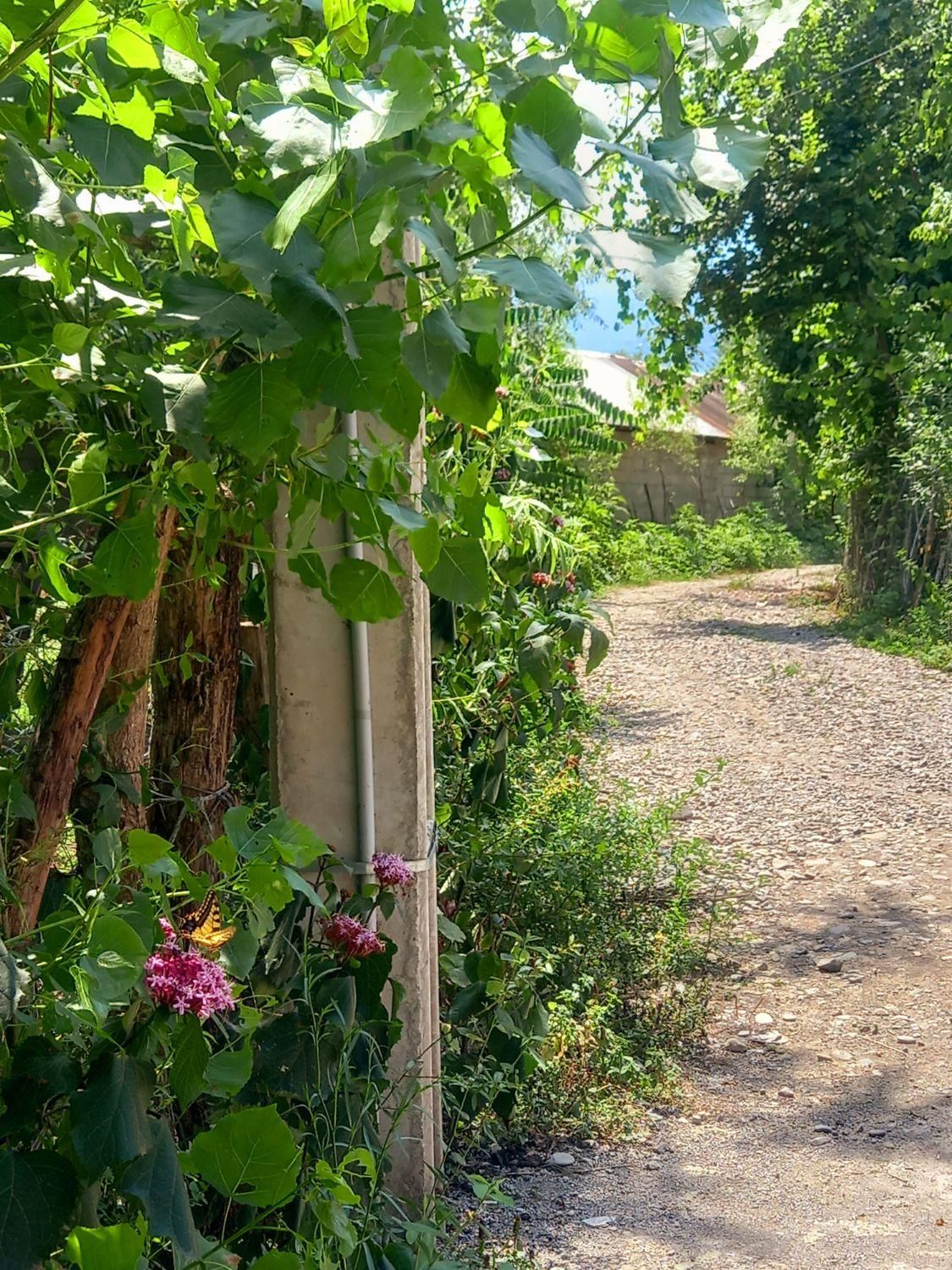 سوئیت و ویلای دوخواب ماسال|اجارهٔ کوتاه‌مدت ویلا و باغ|ماسال, |دیوار