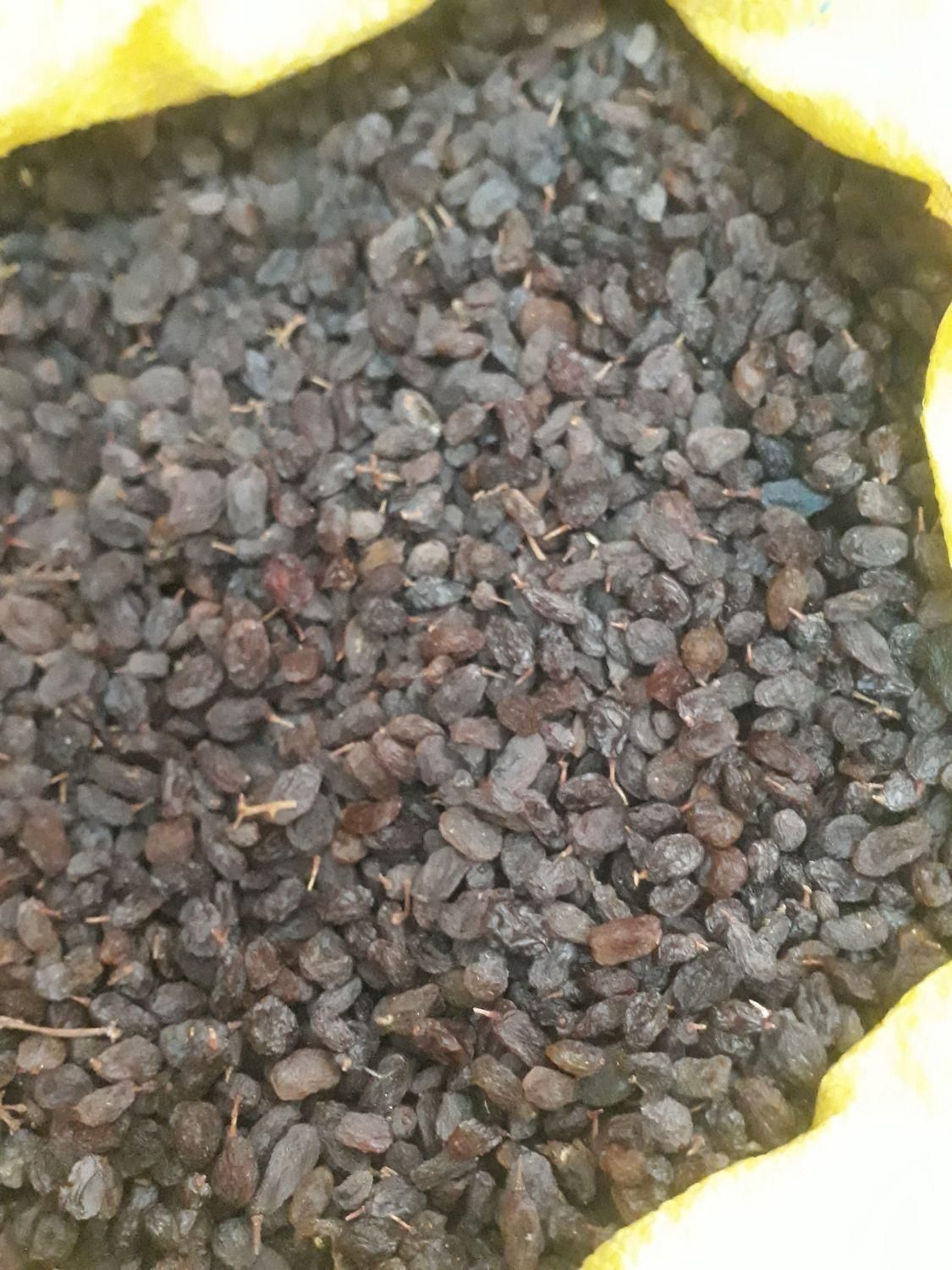 کشمش،مویز آفتابی بوانات شهدار گوشتی شیرین آمیرزا|عمدهفروشی|یزد, |دیوار