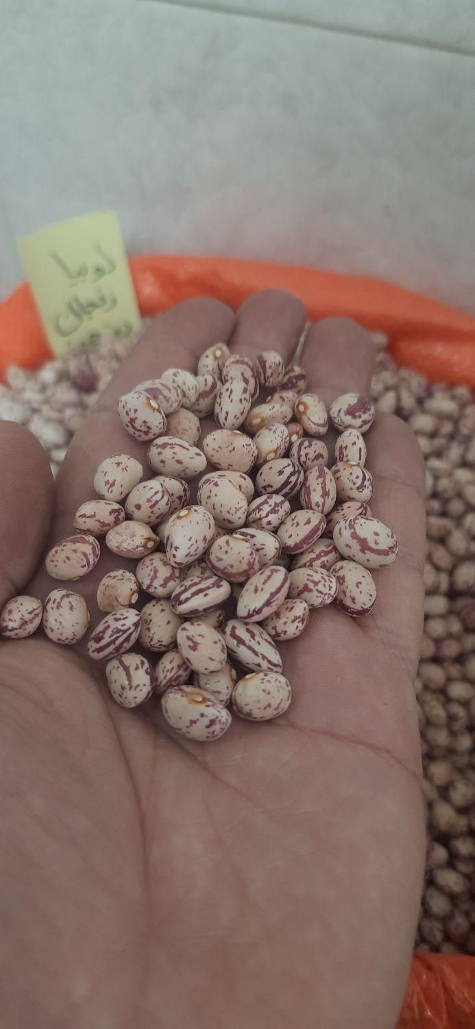 برنجحبوبات چای ومواد غذایی جنگجو|عمدهفروشی|مراغه, |دیوار