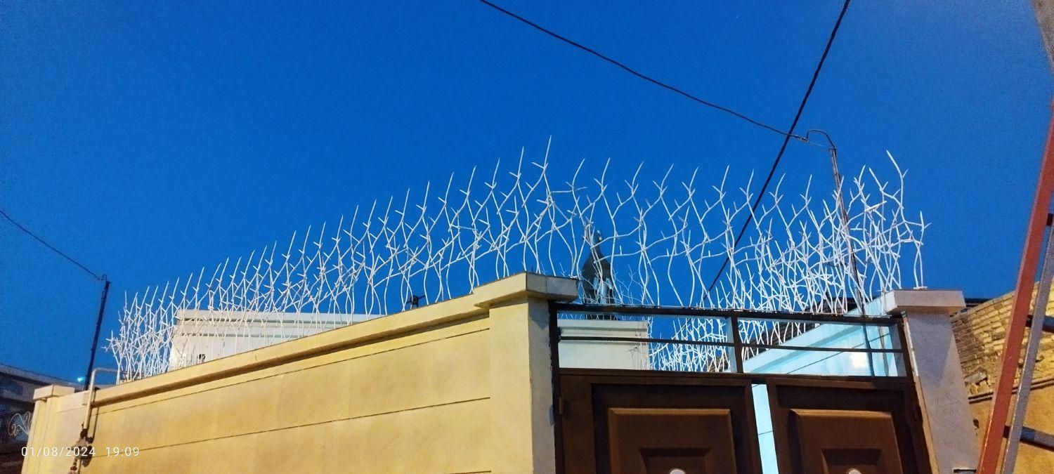 حفاظ دیواری شاخ گوزنی پله سقف|خدمات پیشه و مهارت|تربتحیدریه, مورشک|دیوار